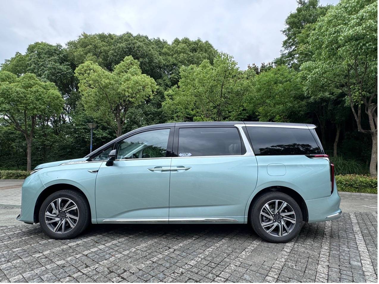 大通新能源车 大家9