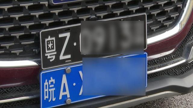 粤Z车牌的车辆