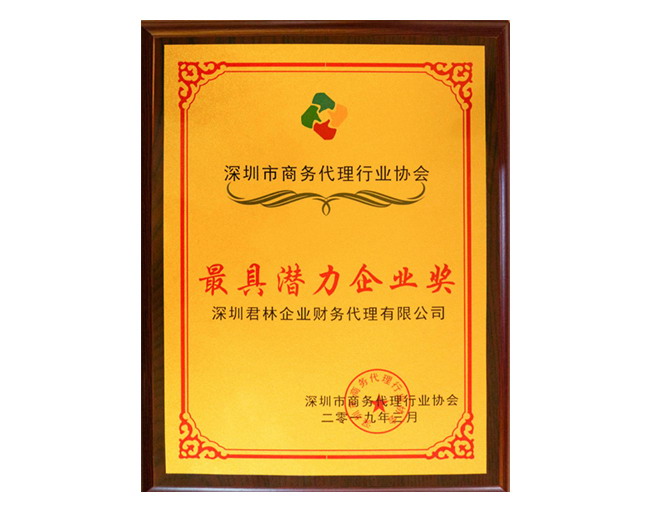 最具潜力企业奖