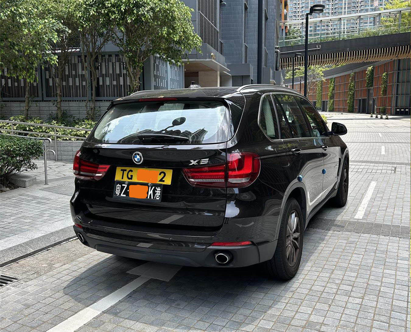 深圳湾粤Z车牌车尾 深圳湾粤Z车牌车尾