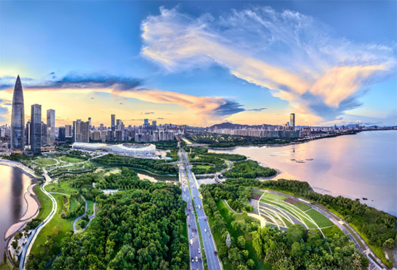 粤港两地车牌申请