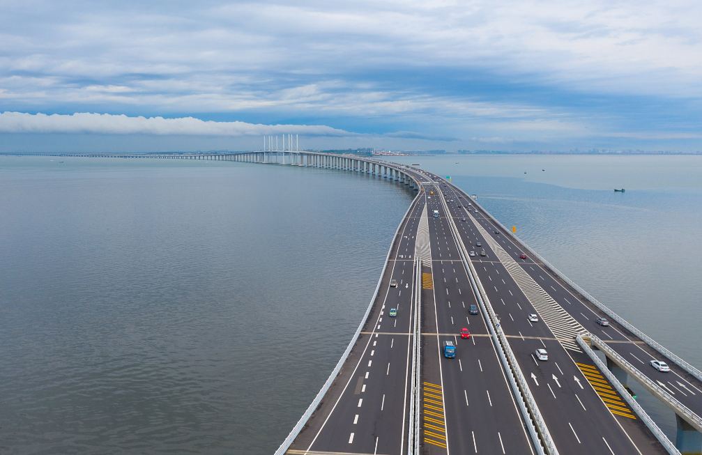 深圳湾、莲塘、港珠澳大桥...哪个口岸最适合您的两地车牌？深度解析与申请指南